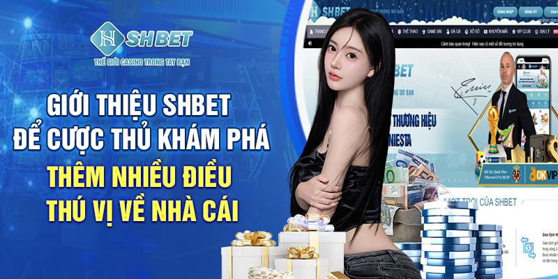 Đăng nhập Shbet giúp người chơi được trải nghiệm nhiều dịch vụ