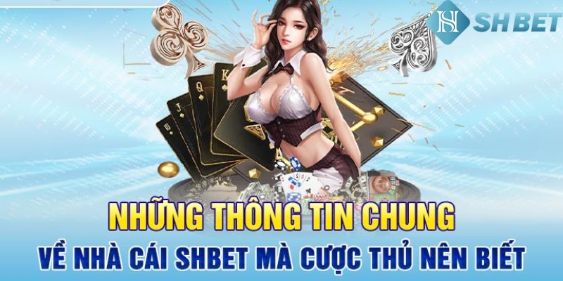 Giới thiệu SHBET - Một số thông tin sơ lược về nhà cái SHBET