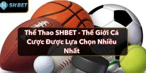 Thể Thao SHBET - Thế Giới Cá Cược Được Lựa Chọn Nhiều Nhất